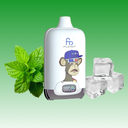 RandM Tornado 12000 Cool Mint – pure Frische