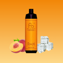 RandM Tornado 10000 Peach Ice – eiskalter Pfirsichgenuss