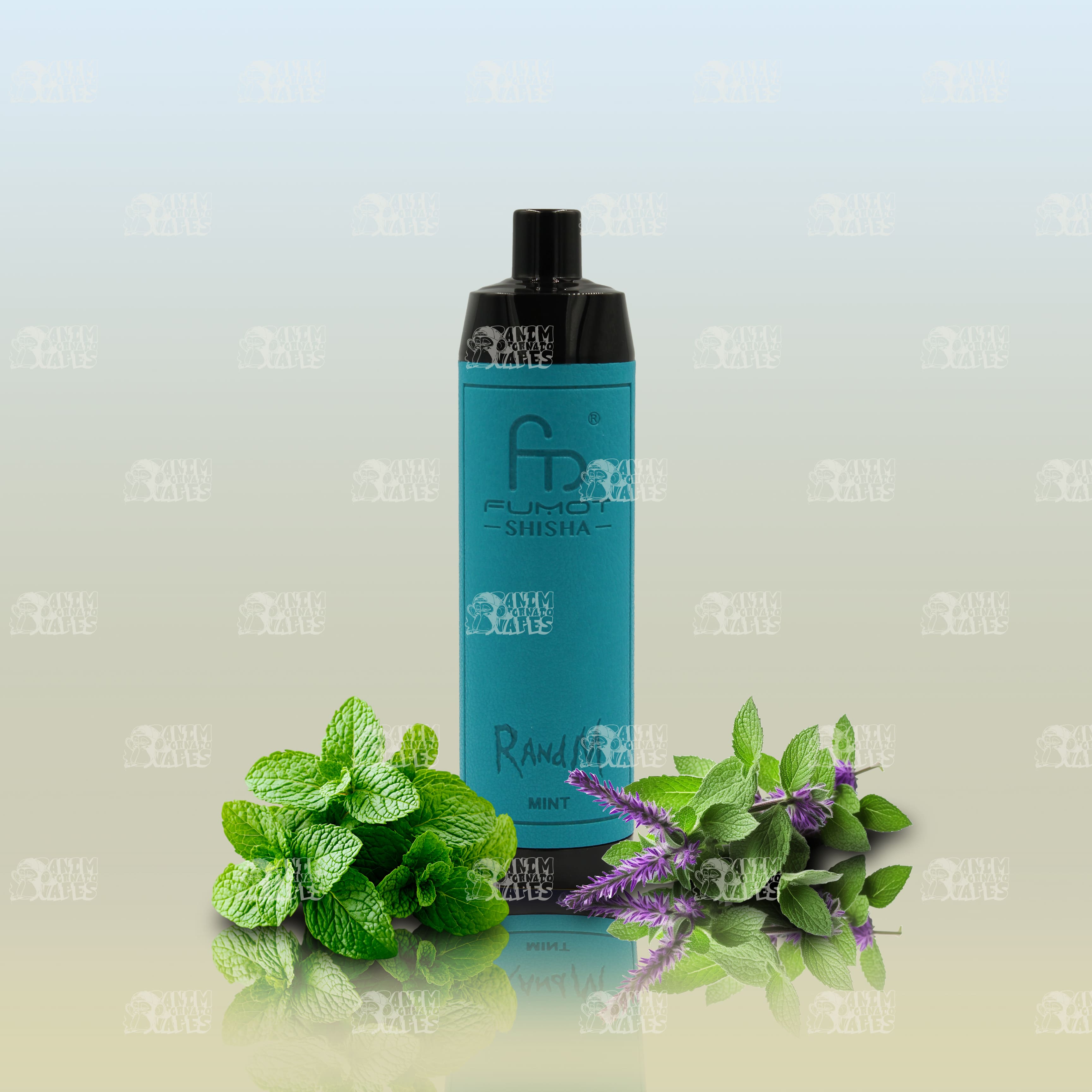 RandM Tornado 10000 Mint Einweg-Vape mit 10000 Zügen und Mesh Coil
