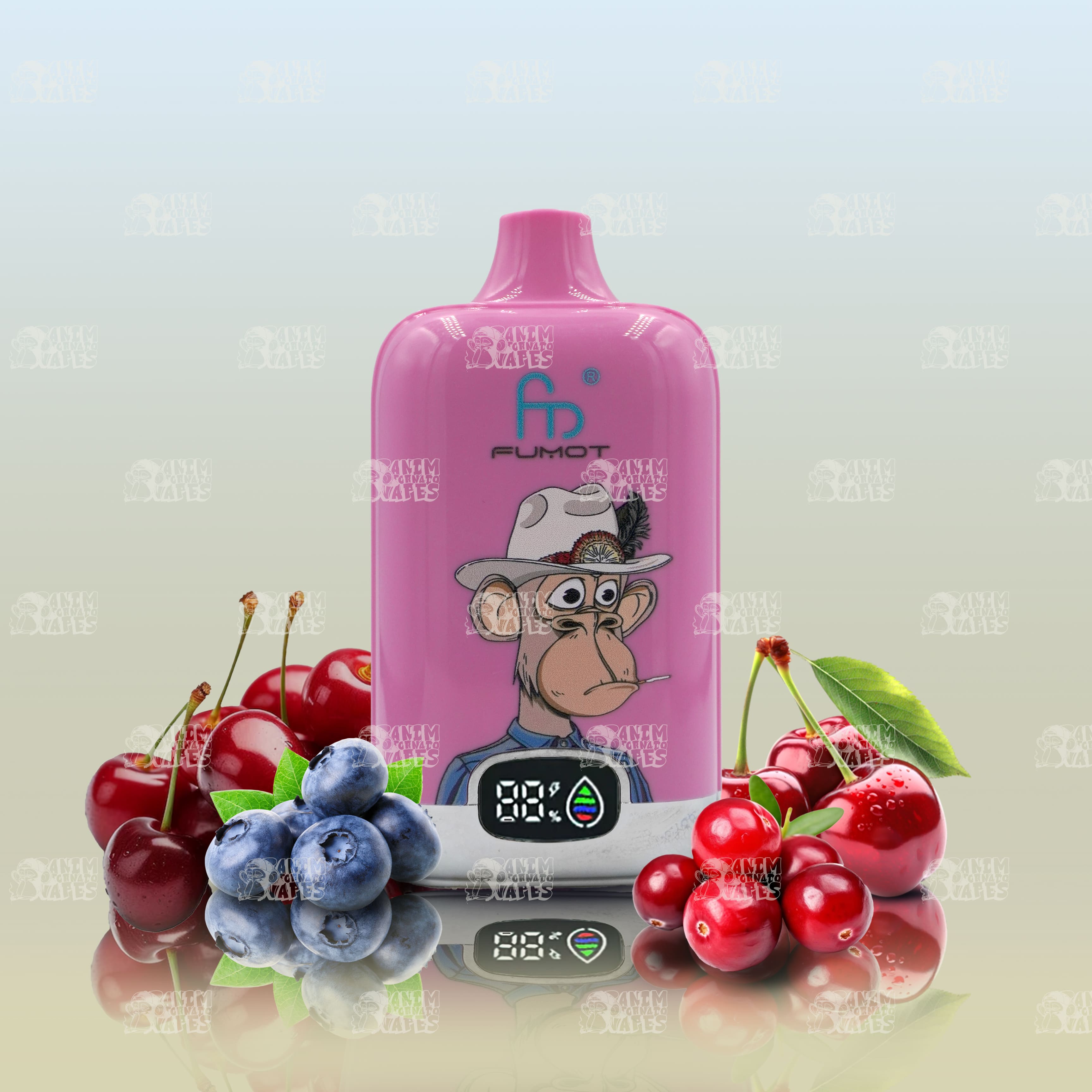 RandM Tornado 12000 Blueberry Cherry Cranberry Einweg Vape